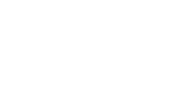 Hi-Speedy